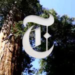 Climbing Sequoias for Climate Change Image